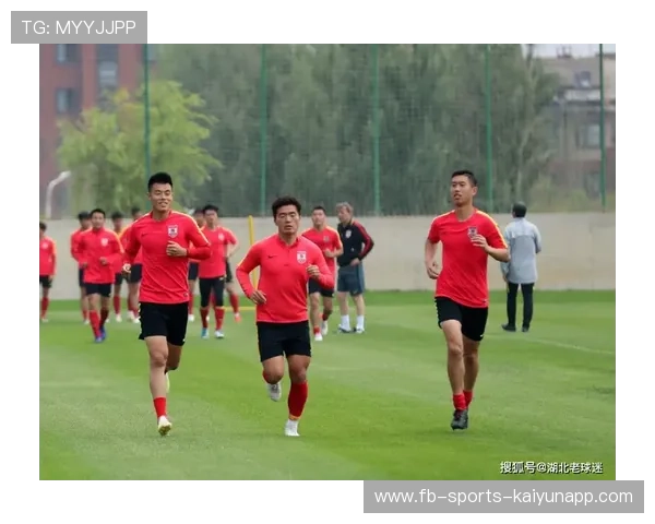 国际篮球青训计划推动教练员职业晋升通道建设，青少年篮球教练员培训